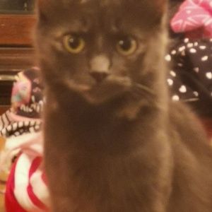 Meet your Posher, Tracy